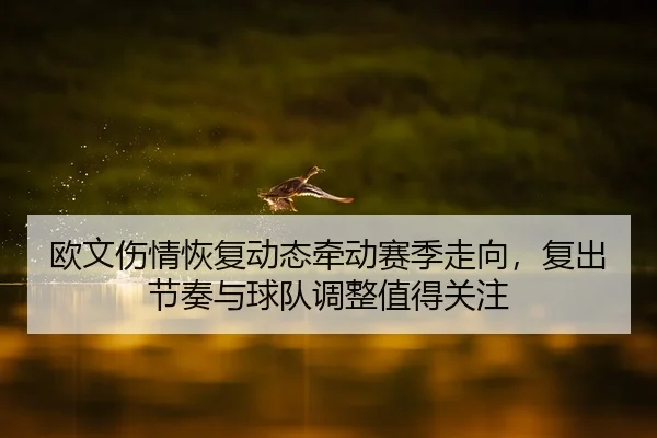 欧文伤情恢复动态牵动赛季走向，复出节奏与球队调整值得关注